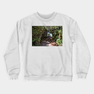 Path through trees to the ocean Crewneck Sweatshirt